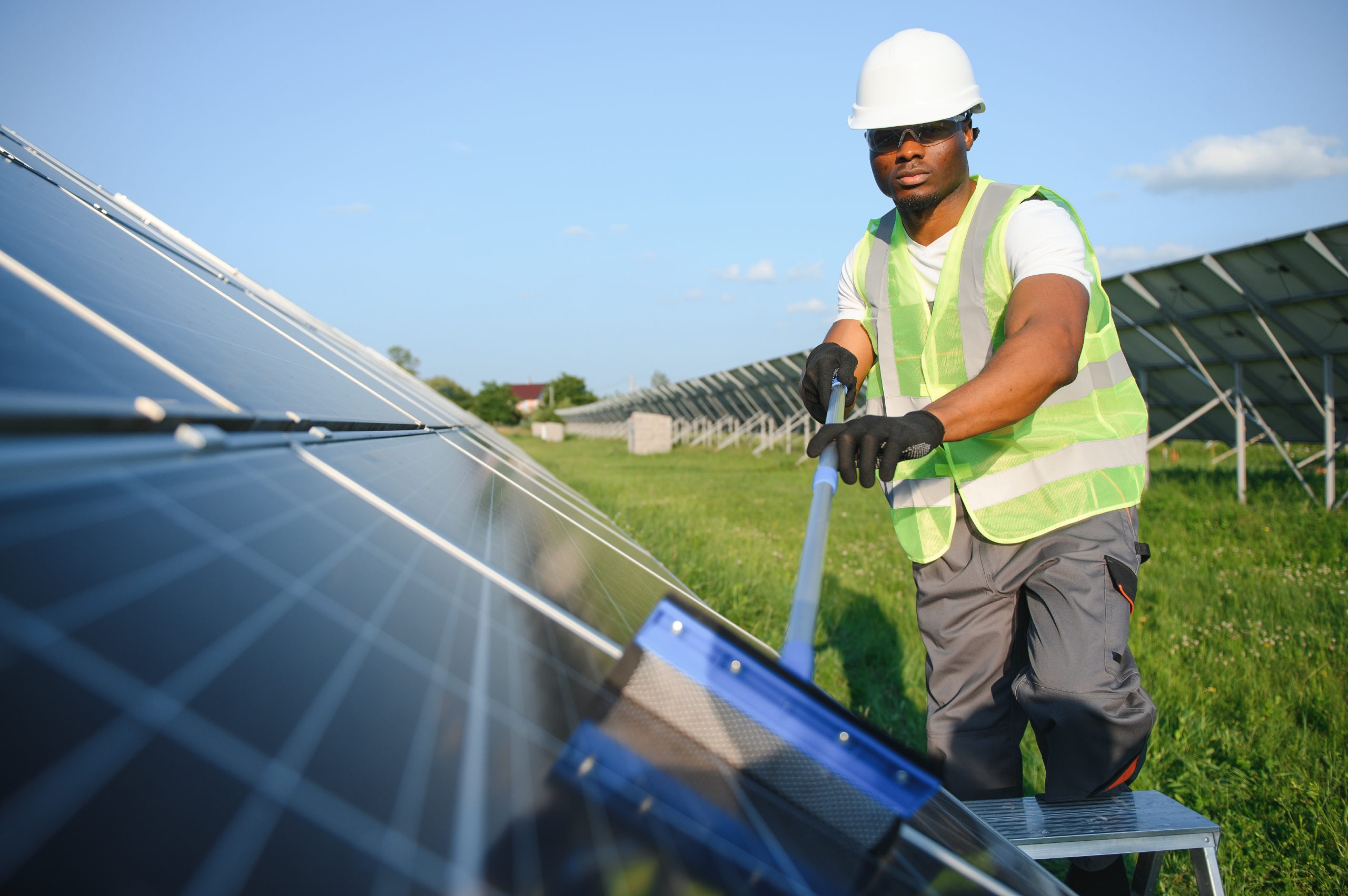 professional cleaning, solar panels, ant eye view, professional cleaning, solar panels, ant eye view